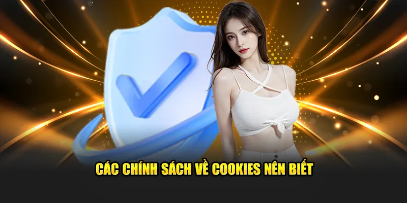 Các chính sách về cookies nên biết