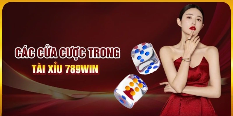 Một số cửa cược phổ biến trong game tài xỉu online uy tín