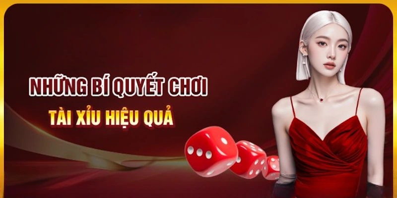 Mẹo tham gia tài xỉu trực tuyến xác suất thắng luôn cao nhất