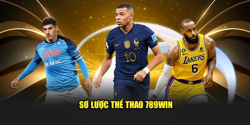 Tìm hiểu sảnh cược Thể thao 789win 